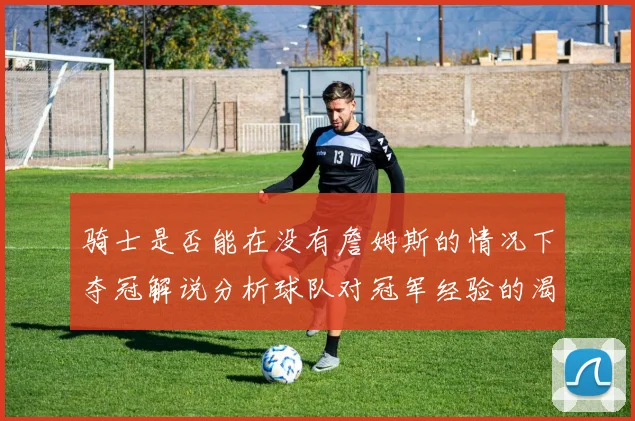 骑士是否能在没有詹姆斯的情况下夺冠解说分析球队对冠军经验的渴望与担忧