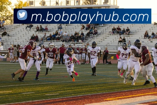 BOB体育平台生态图