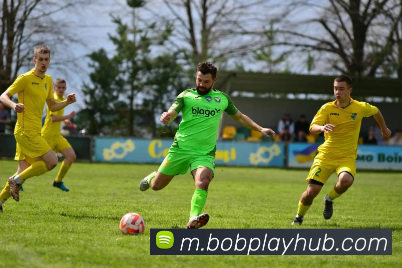 BOB体育APP 封面图